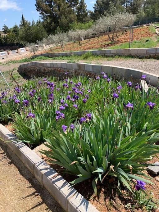 El-Cortijo Siete Aguas Exterior foto