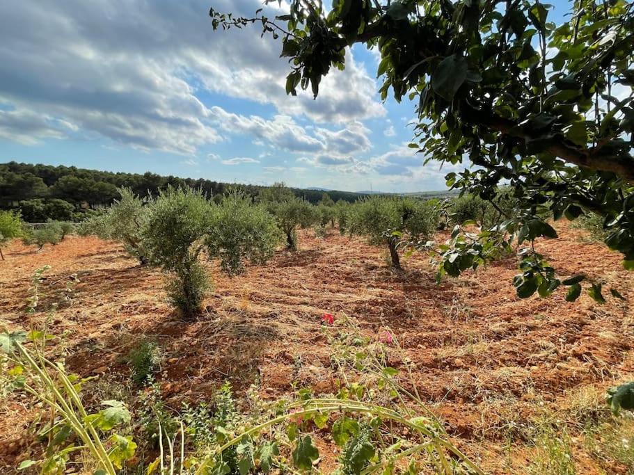 El-Cortijo Siete Aguas Exterior foto